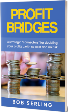 Cover-ProfitBridges-220
